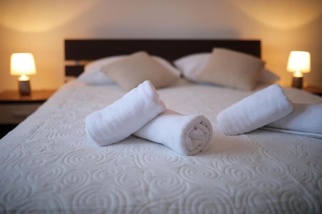 Luxury Apartment Petra With Private Pool Zadar Bagian luar foto